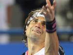 David Ferrer revalida el título en Nueva Zelanda