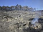 Los incendios destruyen 12.000 hectáreas en el sur de Australia