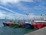 Cantabria espera tener en el segundo semestre del año el seguro colectivo para pescadores