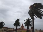El Gobierno de Canarias activa la situación de alerta en La Palma y Tenerife por fuertes vientos