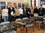 Ayuntamiento de Valladolid reforzará la información sobre cotillones y asegura que tres organizadores los han cancelado