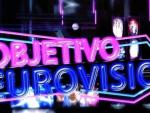 Un navarro, entre los 30 elegidos que aspiran a estar en Objetivo Eurovisión