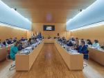 El Cabildo de Tenerife condena la violencia en Venezuela y llama al diálogo para resolver el conflicto social
