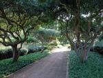 Costa dice que la apertura de los jardines de Marivent es "inminente"