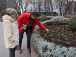 Cerca de 30.000 plantas del vivero municipal adornarán los jardines  parques de León este invierno