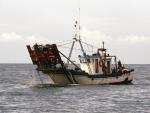 La Junta aumenta de tres a cuatro horas diarias las posibilidades de pesca en el caladero de chirla del Golfo de Cádiz