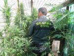Ocho detenidos por formar parte de una banda dedicada al tráfico internacional de marihuana desde Alicante