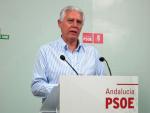 Menacho (PSOE-A) defiende que "un cargo público no puede denigrar la forma de hablar ni de ser de los andaluces"