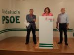 El PSOE dice que las visitas de Rajoy y siete ministros no se han traducido en "compromisos" con la provincia de Granada
