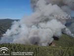 Aumentan los medios aéreos y terrestres en las labores de extinción del incendio en Segura de la Sierra (Jaén)