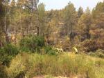 El INFOCAM mantiene el plan de acción para consolidar el incendio de Yeste (Albacete)