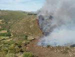 Diez helicópteros, tres aviones y un centenar de efectivos luchan contra el fuego en Gredos