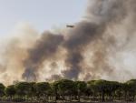 Miguel Delibes confía en que "la tragedia" tras el incendio sirva para "relanzar" Doñana