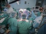 Andalucía incrementa en un 19% los trasplantes de órganos realizados hasta mayo