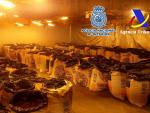 Detenidas 12 personas de una red que introducía cocaína en España impregnada en equipajes