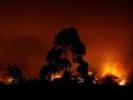 El BNG traslada sus "condolencias" por el incendio de Portugal y reclama "un gran pacto" sobre el monte gallego