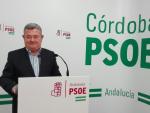Ruiz (PSOE-A) critica que el Gobierno de Rajoy ha "olvidado" a la comunidad educativa en los PGE
