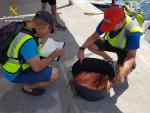 Incautan más de 100 kilos de pescado sin etiquetar en el Mercado Central y la isla de Tabarca