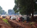 Más de 30 heridos en República Centroafricana a pesar del alto el fuego pactado el lunes