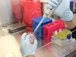 Investigadores se acercan a un tratamiento farmacológico para la hepatitis B