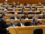 Zapatero responde hoy en el Senado a las preguntas sobre la economía y el TC