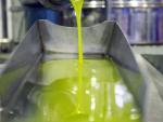 La producción de aceite de oliva en Andalucía llega a 1,05 millones de toneladas, el 82% del total nacional hasta abril