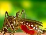 Mosquito que transmite el Zika