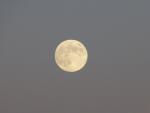 IV "caminata nocturna" en Almensilla el 7 de julio para disfrutar de la primera Luna llena del veerano