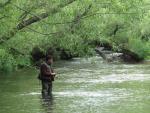 Cantabria suspende la pesca fluvial en todo su territorio hasta el 31 de octubre por la sequía