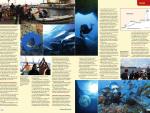 La revista británica Diver Magazine muestra la Costa Cálida como paraíso para submarinistas