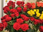 Mercabarna prevé vender unos seis millones de rosas