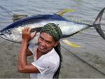 WWF celebra los cambios "notables" y "beneficiosos" de la pesquería del atún en Filipinas, que exporta el 50% a la UE