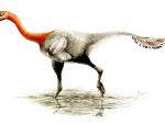 Un engañoso dinosaurio con plumas tiene finalmente nombre