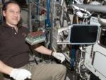 El CSIC enviará semillas a la Estación Espacial el 1 de junio para estudiar el cultivo de plantas en el espacio