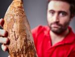 Hallan un enorme diente de cachalote de cinco millones de años en Australia
