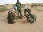 EEUU propone la restauración plena de la misión de la ONU en el Sáhara