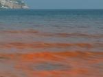 El Gobierno está en "alerta" por si la 'marea roja' pasa de San Vicente a otros estuarios