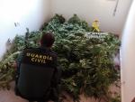 La Guardia Civil investiga a un vecino de Tomiño (Pontevedra), al que se le intervinieron 13 plantas de marihuana