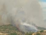 Los bomberos comienzan a estabilizar el fuego entre Tafalla y Pueyo (Navarra)