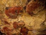 Un estudio confirma el uso de conchas marinas como utensilios para preparar el ocre de las pinturas de Altamira