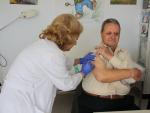 La vacuna de la gripe es menos eficaz en personas obesas