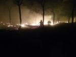 Desalojadas más de 300 personas por el incendio forestal de Moguer, contra el que se suma la UME