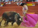 La corrida de toros de José Tomás dispara los precios y llena los hoteles de la capital