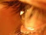 El 15% de los usuarios de lentes de contacto nunca acude al óptico para revisar sus lentillas
