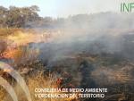 El incendio de El Castillo de las guardas ha afectado a "más de 100 hectáreas" en dos fincas de Zufre