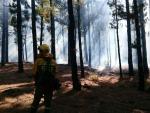 Un total de 18.851 hectáreas han ardido en España en agosto, más de la mitad de todo lo quemado en 2016