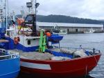 El cerco amenaza con protestas contra el reparto de anchoa, que sitúa en 57 toneladas para 153 barcos gallegos