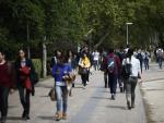 Las matrículas en las universidades madrileñas bajarán el próximo curso un 5% y los máster un 10%