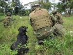 El Ejército de Colombia anuncia la muerte de un cabecilla de la disidencia de las FARC