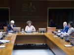 La Ponencia de Memoria del Parlamento Vasco arranca con el objetivo de lograr "amplios consensos"